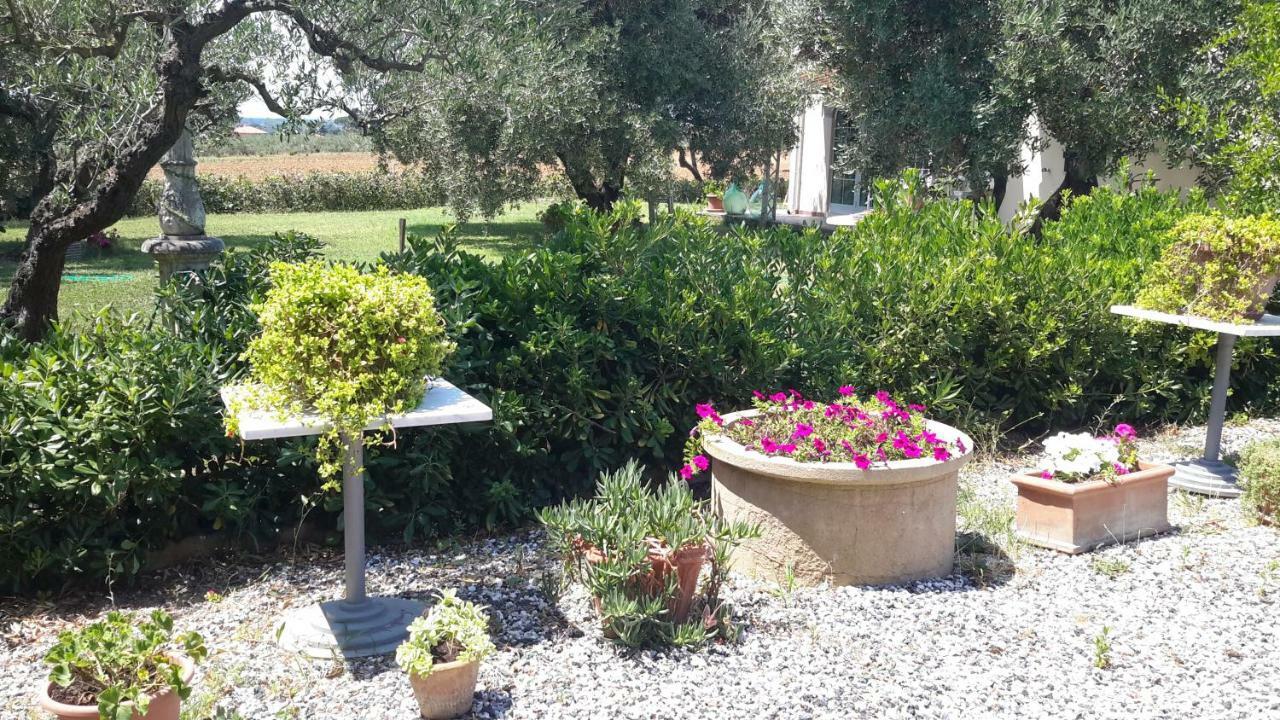 Campo Alle More Cecina  Extérieur photo