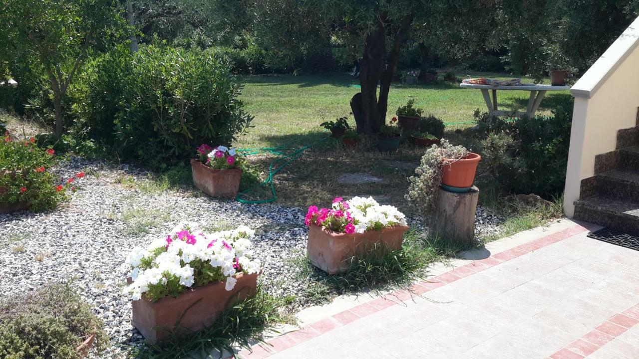 Campo Alle More Cecina  Extérieur photo