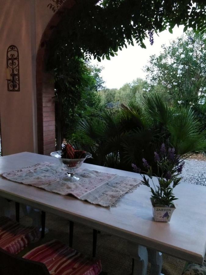 Campo Alle More Cecina  Extérieur photo
