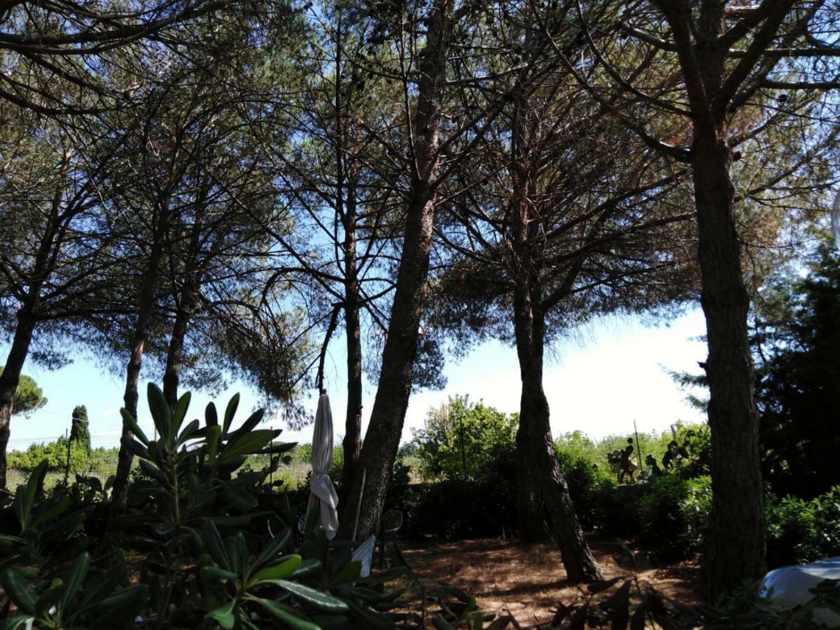 Campo Alle More Cecina  Extérieur photo